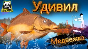 RF4 КАК ОБЫЧНО УДИВЛЯЕТ МЕНЯ ЭТОТ ВОДОЕМ #рр4