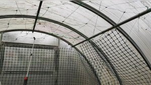 Обработка теплицы осенью, лучшая!