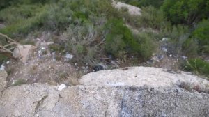 VLOG День Рождения Даши и куда уехали Настя, Катя и Костя