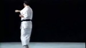 Шито-рю каратэ.Ката Пинан Нидан Pinan Nidan Shito Ryu