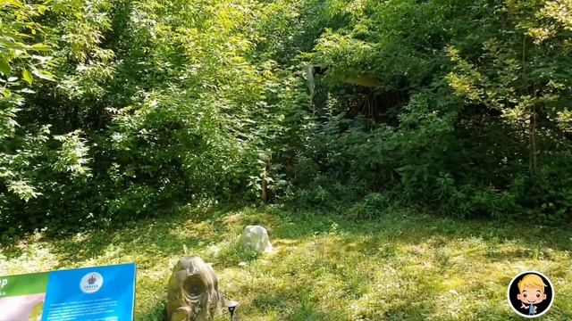 ?Дино Парк в Москве июль 2022. TeaMMooR. ?17 городок. Dinosaur park? смотреть онлайн
