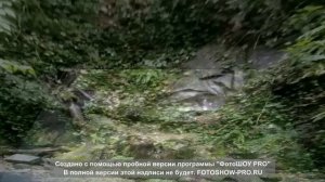 Экскурсия. Изумрудная долина реки Аше в Лазаревском. Сочи(1 часть)