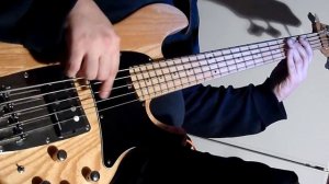 VovaMasterZvuk - Схема преампа для гитарных звукоснимателей.