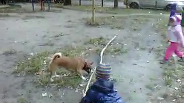 собака-злюка 