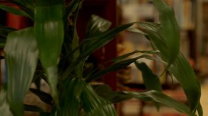 Чайный монолог - Бронислав Виногродский (Часть 2)