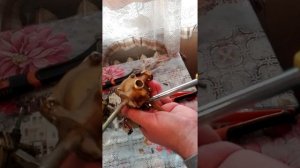 замена сальника водного блока на газовой колонке