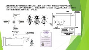 Проектирование цифрового информационного сервиса для APM - специалиста АПК