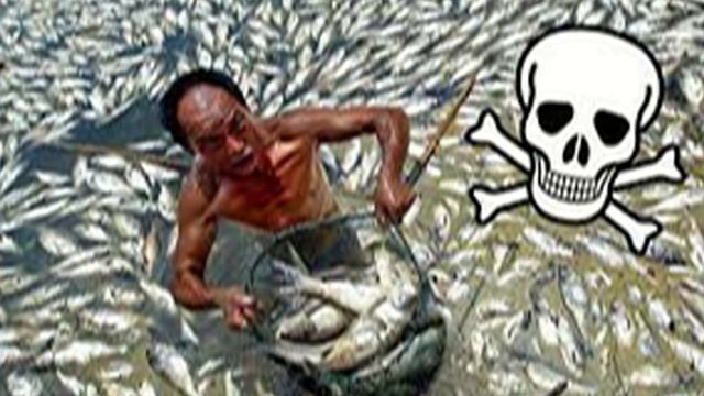 7 продуктов из Китая, которые нельзя есть даже под дулом пистолета смотреть онлайн