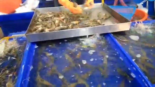 рынок морепродуктов в Паттайе район Наклуа смотреть онлайн