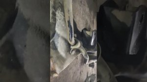 форд эскейп снятие кпп и диагноз подвеске.