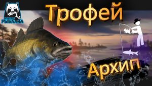 RF4 ПЛАВНЫЙ РАЗМОТ УПРЯМОЙ РЫБКИ #рр4