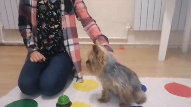 В гостях у животных. Как зовут эту прелесть? Что с ней произошло? смотреть онлайн