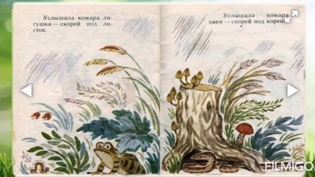 Видеоролик «Хранительница тайн природы». смотреть онлайн