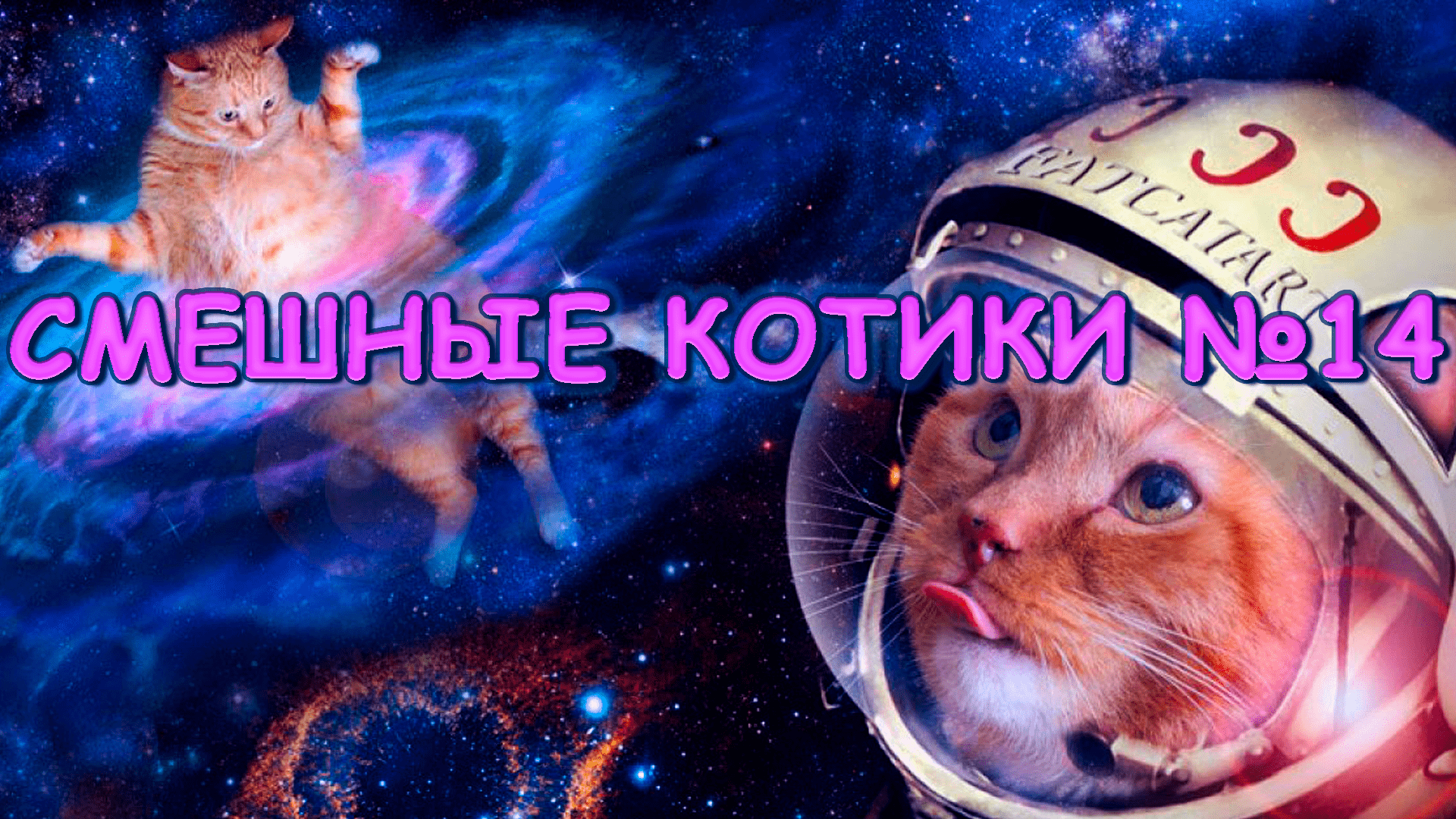 Кот космонавт обои