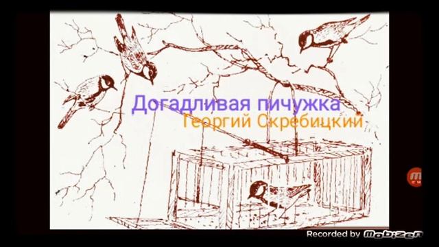 ДОГАДЛИВАЯ ПИЧУЖКА ? рассказ ? аудио ? автор Георгий Скребицкий ?