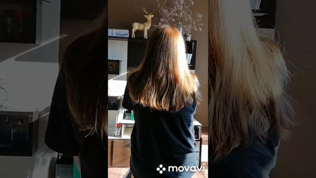 Отзыв выпускника смотреть онлайн