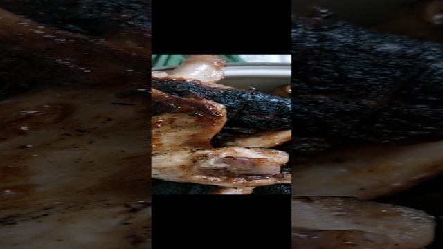 гарики, шашлык 20230610_205034.mp4