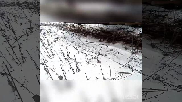 уборка подсолнечника смотреть онлайн