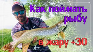 КАК ПОЙМАТЬ РЫБУ В ЖАРУ + 30