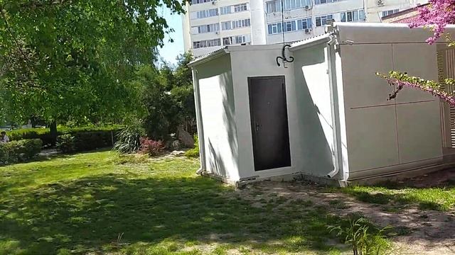 Цветущий церсис (багряник, иудино дерево) в Анапе напротив школы N 5 смотреть онлайн