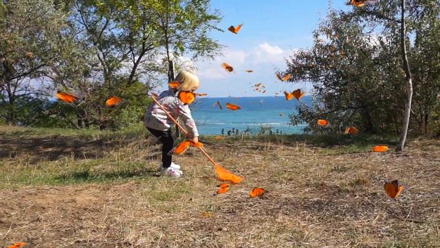 Охота на бабочек | В поисках пропавшей подружки | История про бабочек смотреть онлайн