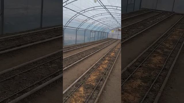 Оптимальная высота арочных теплиц и правильная вентиляция для проветривания.