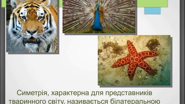 Основні поняття: симетричні зображення. Мистецтво 2 клас. Вчитель Яременко І.І. смотреть онлайн