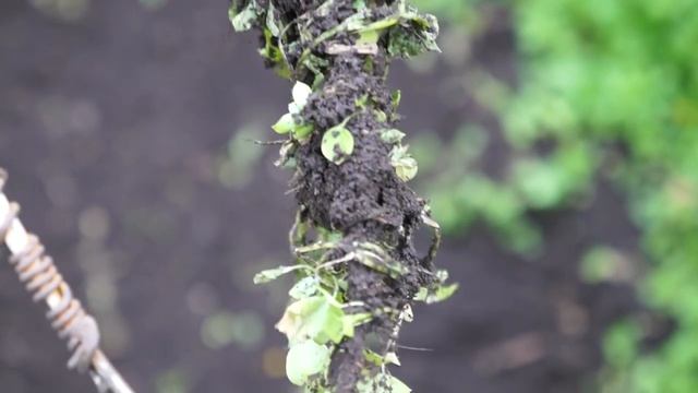 Супер мотыга из хлама || Самый лучший инструмент для огорода смотреть онлайн