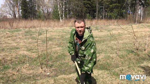 субботник 08.05.19 Парк Победы с. Кыштовка организованный главой Шипчиным Н. В. смотреть онлайн