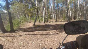 Маршруты новых непонятных трясучих грязных дорог - лесные дороги и болота