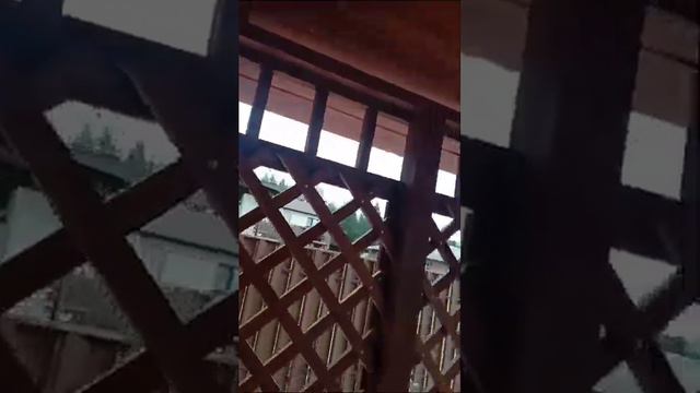 Беседка ТИС 4x4 м смотреть онлайн