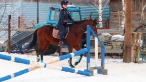 ТРЕНИРОВКА Глазами Тренера ! ГАЛОП на кавалетти / VLOG