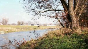 Canon 550D 18-55 kit Nature footage [first try]