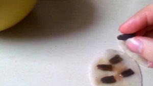 Арбузы,дыни и лагенария в Подмосковье.1 часть