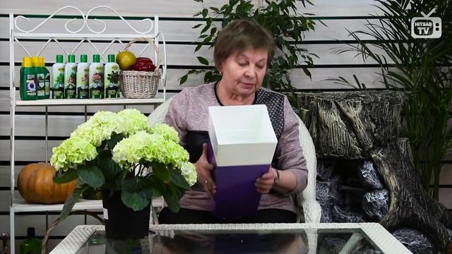 Выращиваем цветы в контейнерах ? Как организовать ФИТИЛЬНЫЙ ПОЛИВ? ? Советы цветоводам
