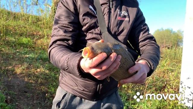 ХОРОШИЙ КЛЁВ КАРПА! РК Посейдон.Карповая рыбалка.