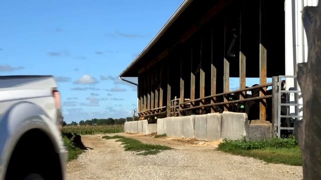 Vídeo oficial del Ford F-450 Super Duty 2017 | Car and Driver España смотреть онлайн