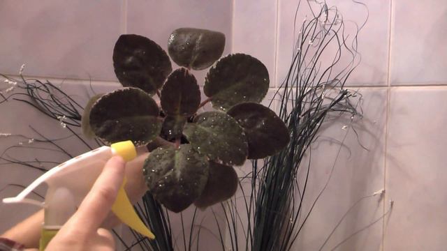 Как я мою свои орхидеи фаленопсис и фиалки 🌸 НЕТ душу для орхидей ☝ фильтр для воды смотреть онлайн