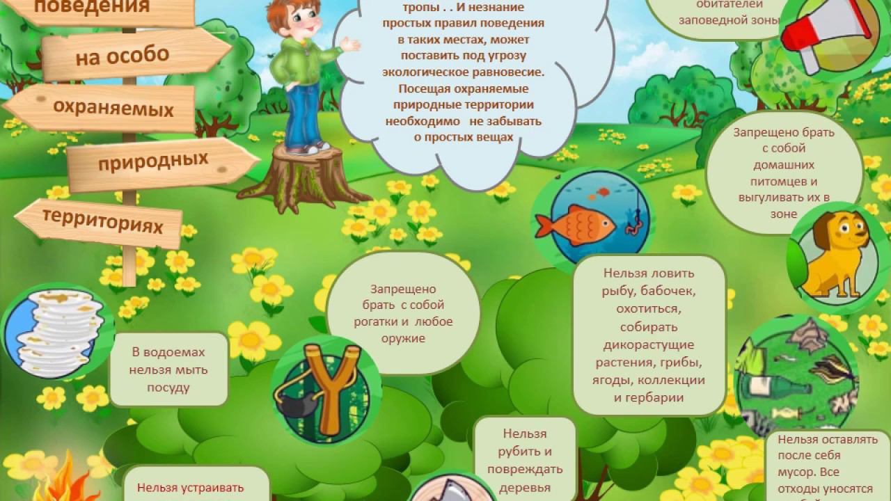 10 экологических правил. Правило экологической пирамиды. 10 экологических правил. Правила поведения втприроде. Правила поведения втприроде.