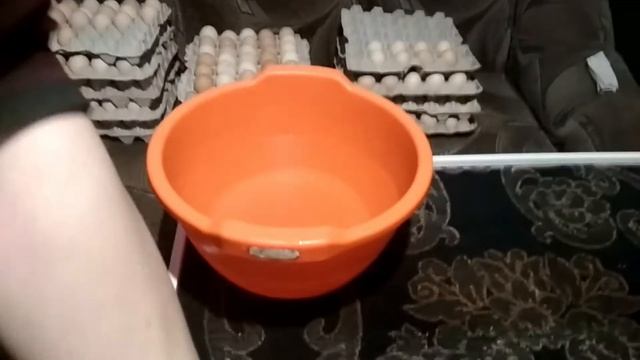 Обработка инкубационного яйца, весь процесс / мыть или не мыть / Закладка в инкубатор Бест 500
