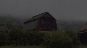 Звук дождя для сна - Расслабляющий шум дождя в безмолвном туманном лесу