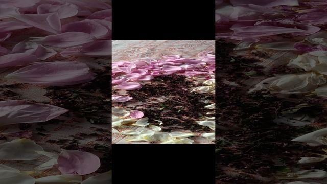 ПОЛЬЗА ОТ ЧАЯ ИЗ ЛЕПЕСТКОВ РОЗ.
