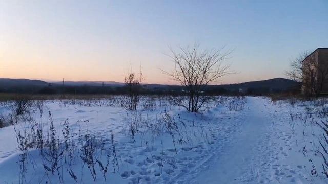 5.02.2024г.ТАЕЖНЫЙ,ПРОГУЛКА ПО В/Ч  БЫВШЕЙ//О 