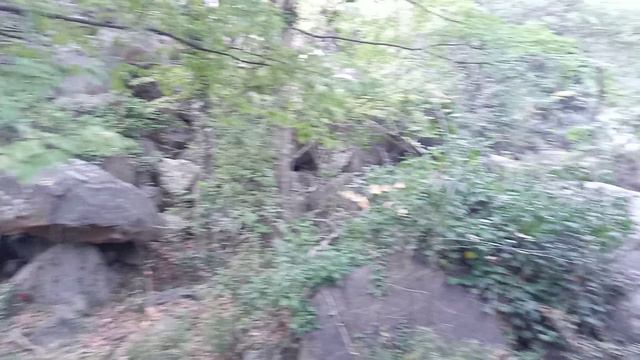 Сказочные дорожки Воронцовского парка.