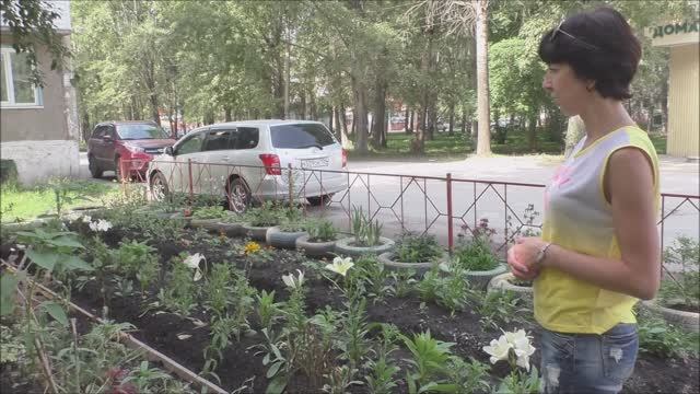Красота цветов от Натальи у дома 8, 4 м-на. 01.08.23 г. Автор видео Елена Цыганова.