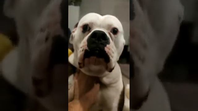 16 сентября 2022 г. смотреть онлайн