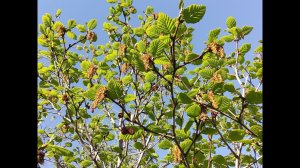 ИЮНЬСКИЕ ВЫХОДНЫЕ. МАГАДАН-ХАСЫН.