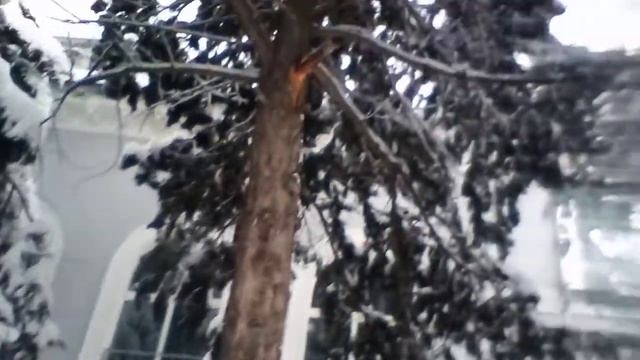 КОРЕНОВСК-Ж.Д.ВОКЗАЛ