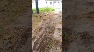 Заброшенная войсковая часть 01879 Среднебелое