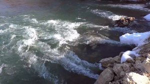 Река Олым в Липецкой области.